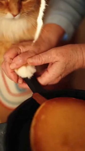 The Cat Bakes Pancakes #ai #cats #aicat #cat #catcute #cutecat Масленица