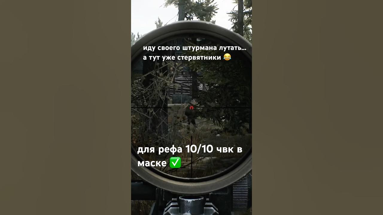 лесная братва #eft #тарков #escapefromtarkov #tarkov