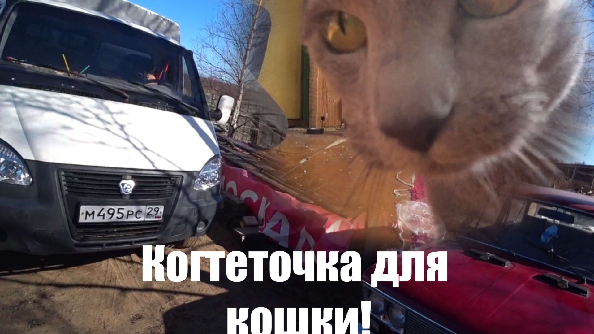 Когтеточка для кошки, обслуживаю технику.