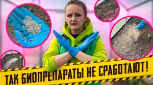 УСЛОВИЯ, ЧТОБЫ МЕТАРИЗИН И БИОПРЕПАРАТЫ СРАБОТАЛИ