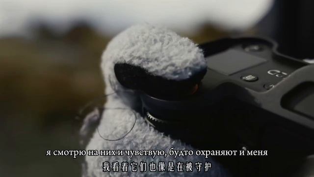 Блогер Альфа блог-тур на Камчатку