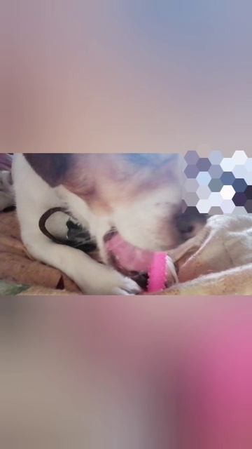 каждый день это:, милашка?