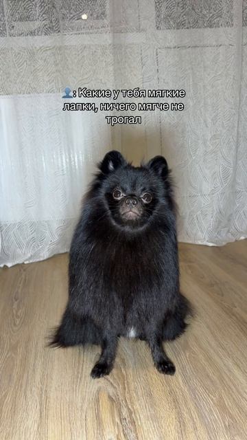 Бухтер трендовое видео