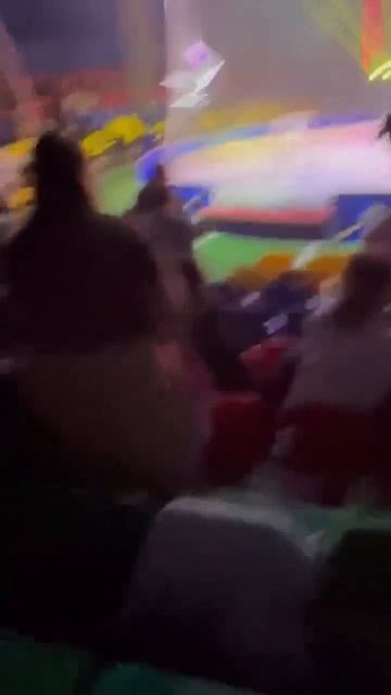 Тигр выпрыгнул в зрительный зал во время выступления