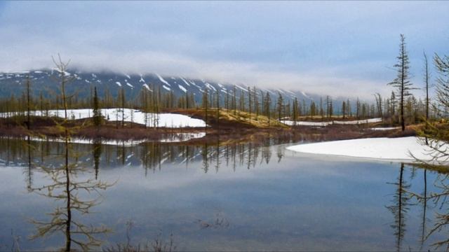 А в Заполярье зимняя весна..