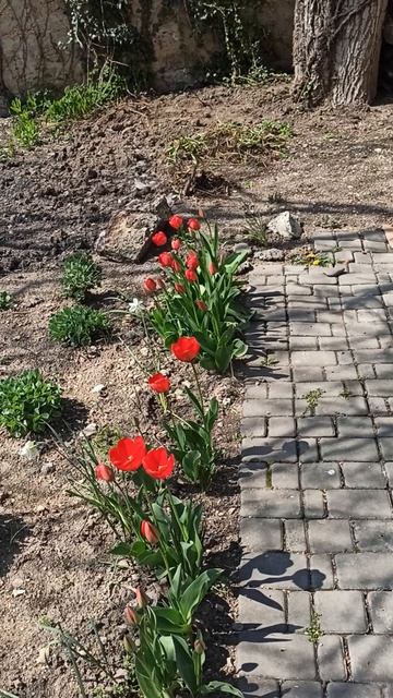 Крым в апреле