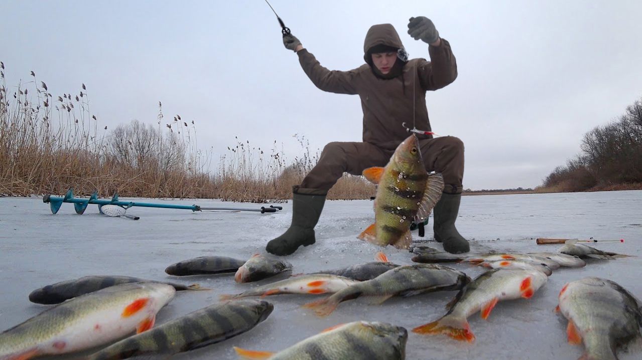 Попали на жор. Огромные окуни и щуки. Бешеный клев на болоте! ВТОРОЙ ДЕНЬ