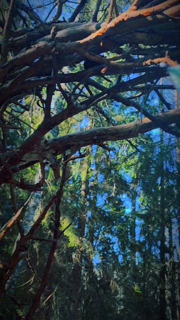 ТОЧКА ПЕРЕСЕЧЕНИЯ: ЛАБИРИНТ