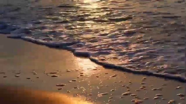 Трагическая история | Люба Назарьева