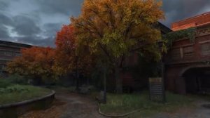 The Last of Us Calming Relaxing Ambient Music (Fallen Grounds)