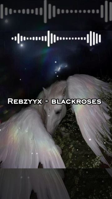 Rebzyyx - Blackroses