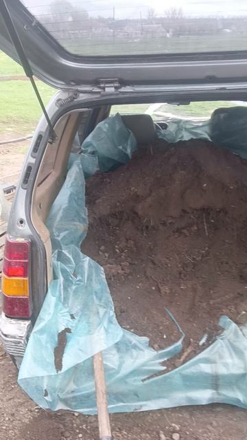 1000025570.mp4деревенька