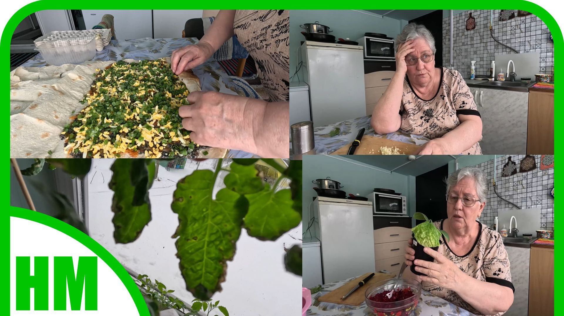 20 апреля. Кручу очередной рулет.  Рассада начала чахнуть 😢