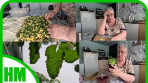 20 апреля. Кручу очередной рулет.  Рассада начала чахнуть 😢