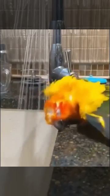 1000011139.mp4. С ДОБРЫМ УТРОМ