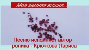 "Моя зимняя вишня"