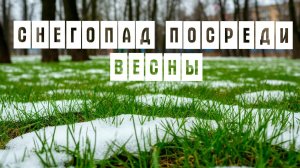 Снег посреди весны