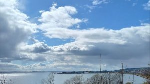 Whistle The Little Secret