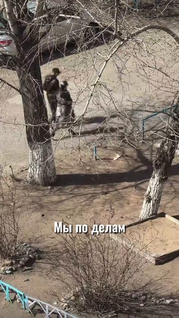 У нас важные дела. Иришка Чики Пики и Безумный Паша