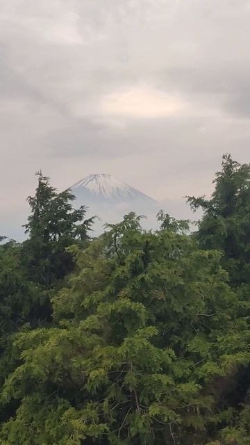 Парк Фудзи-Хаконэ-Идзу, долина Овакудани, озеро Аси (Хаконэ, Япония), (Hakone, Japan),（箱根、日本）