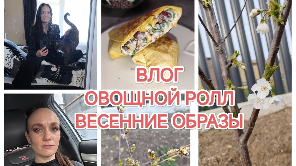 КОРОТКИЙ ВЛОГ/ДОМАШНИЕ ДЕЛА/ВКУСНАЯ ЕДА/ЗАКУПКИ ПРОДУКТОВ/ХИМЧИСТКА ДИВАНА