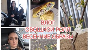 КОРОТКИЙ ВЛОГ/ДОМАШНИЕ ДЕЛА/ВКУСНАЯ ЕДА/ЗАКУПКИ ПРОДУКТОВ/ХИМЧИСТКА ДИВАНА