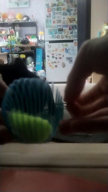 Обзор игрушки для кошки