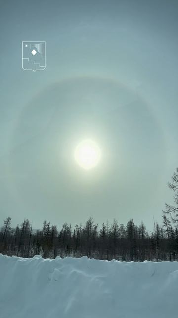 💫🌞 Прекрасное #гало #север #Удачный