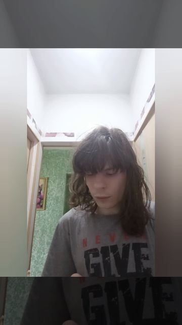 Обзор 3 миски для кошек