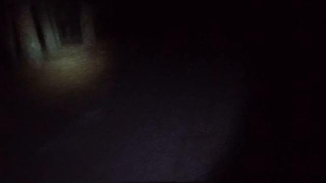 Ночной поход в лес 1 | ЛУЧШИЕ МОМЕНТЫ!