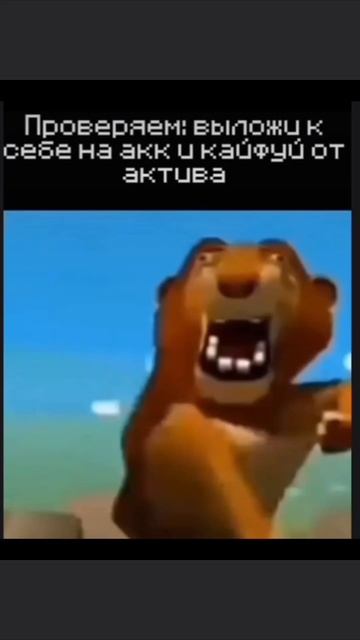 #мемистории