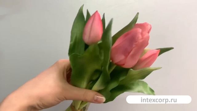 Искусственный букет ТЮЛЬПАНЫ ＂НЕЖНОСТЬ ВЕСНЫ＂, силикон, бледно-розовый, 216003-62-2