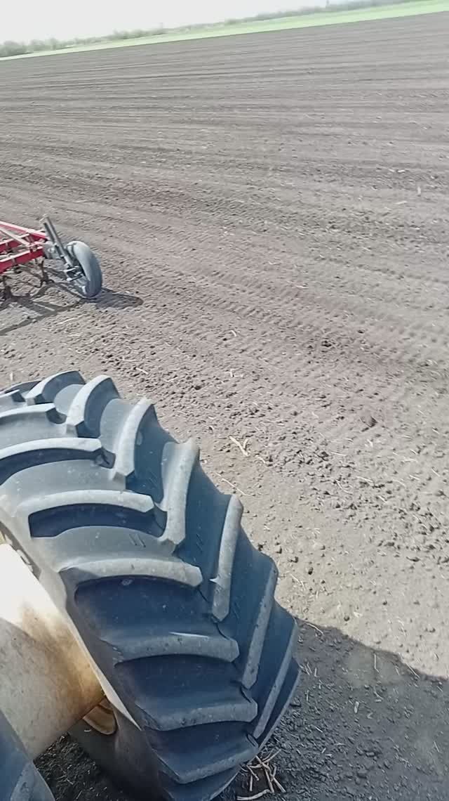 RSM Культивация под подсолнечник