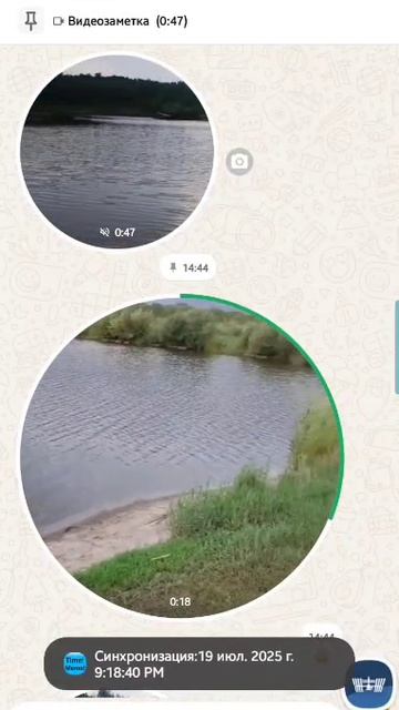 Пчеловодство.