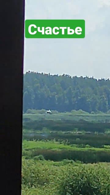 26 июля 2022 г.