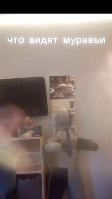 что видит Муравьи на самом деле