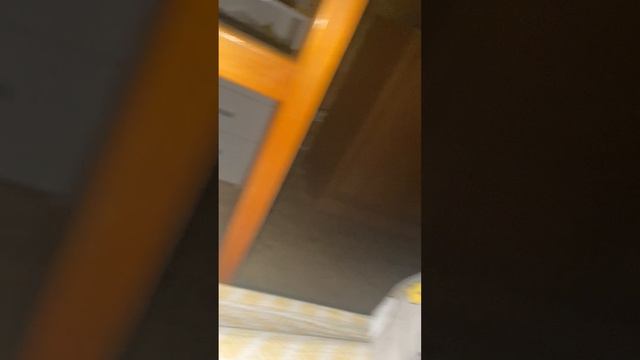 Ночной монстр… 1 часть