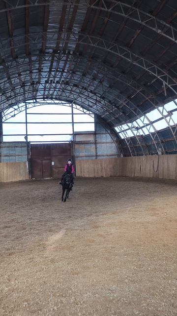 Аня и Наоми, два полувольта на В в манеже.