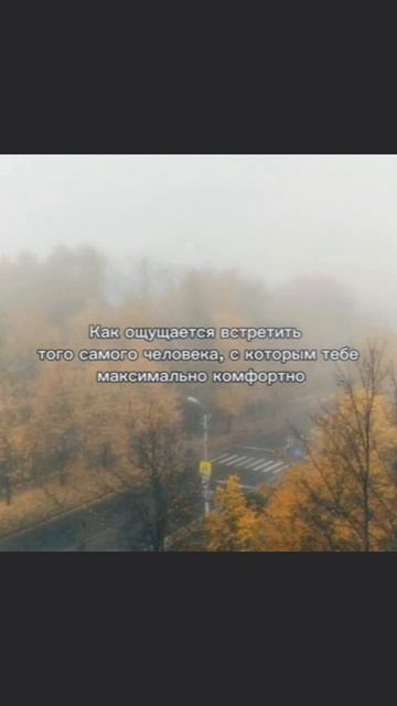 /💗/ - Мой лучший друг 👉👈