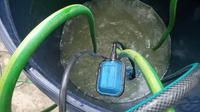 ITOZOR-SERVIS Ролик-10 Поселок Логи промывка СО-чайного дома