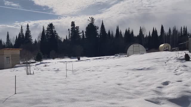 Видео привет с 28 соток 20.04.2026 года.