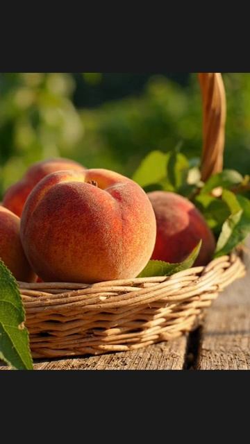#персик #кулинария #фрукты #рецепты #витамины #десерт