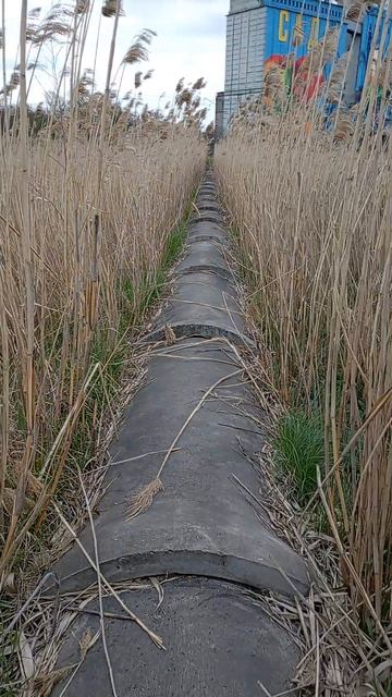 Путешествие в поселке Анджиевский