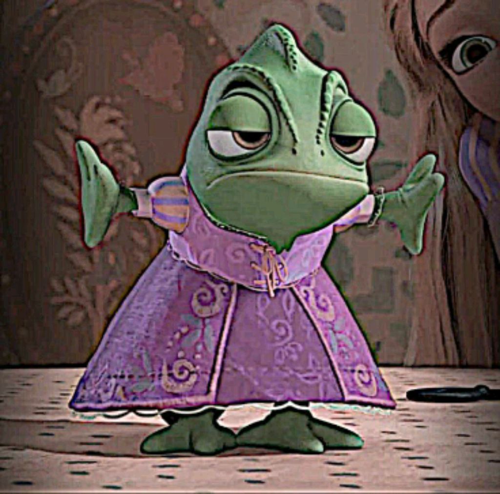 новая трансляция 🙊🙊🙊