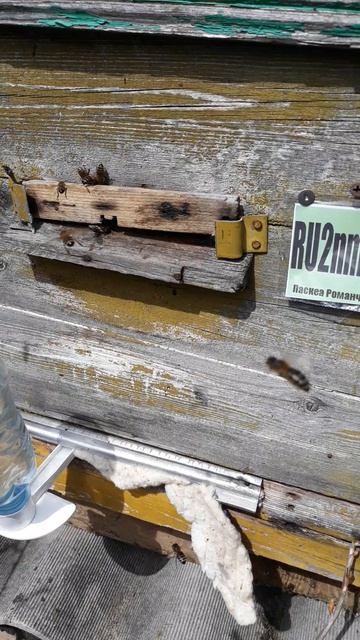 Маркировка ульев