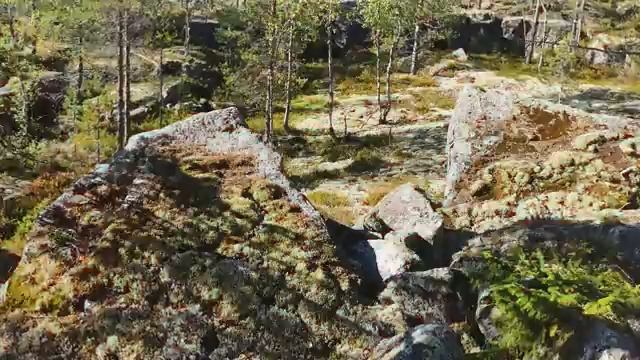 Hela — в гармонии с природой PS5 Games