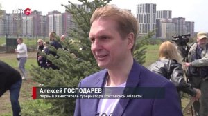 Зеленый каркас «Нового Ростова»