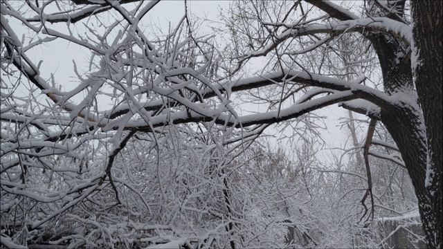Майская погода.