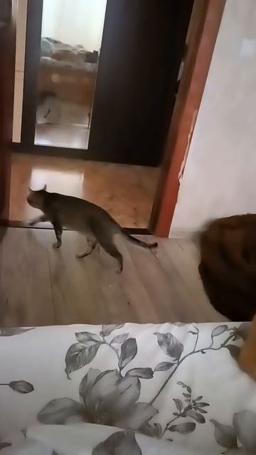 6 утра  ждут когда мы проснёмся.