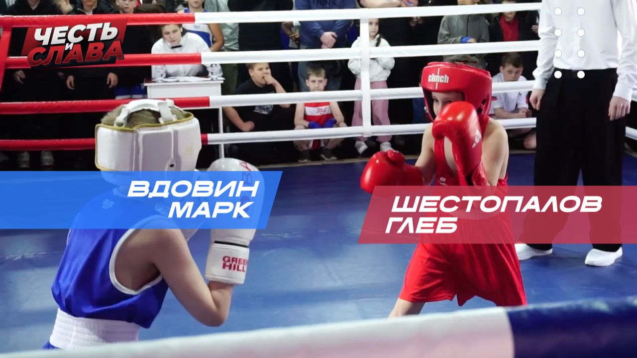 Бой 8 - Шестопалов - Вдовин